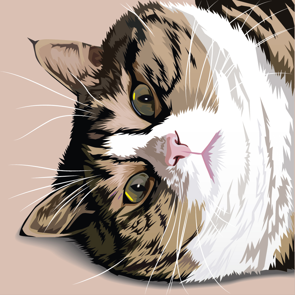 Kucing lucu vector