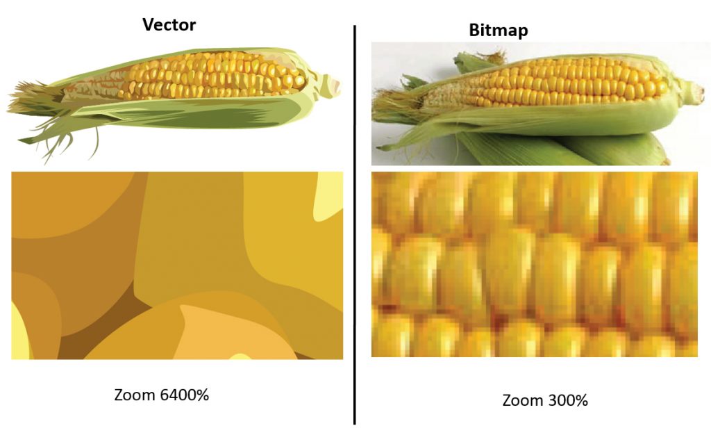 vektor vs bitmap