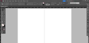 workspace indesign